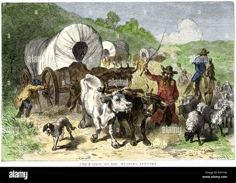 Wagon Train: Una Storia Di Pioniere, Famiglia E Destino In Una West Pioneristica!